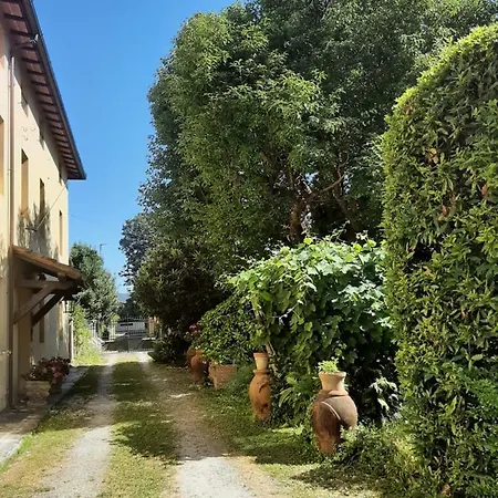 Antica Fattoria La Verdina * Camaiore