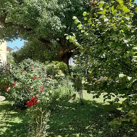 Antica Fattoria La Verdina Camaiore