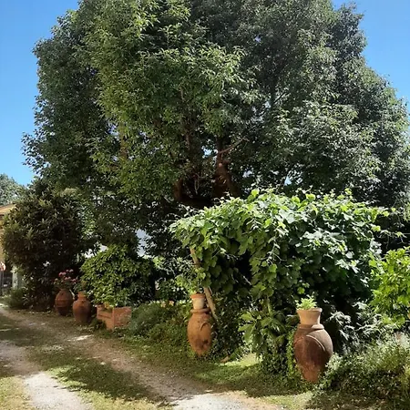 Antica Fattoria La Verdina * Camaiore