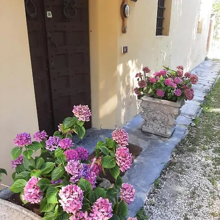 Bed & Breakfast Antica Fattoria La Verdina
