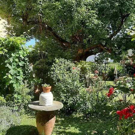 Antica Fattoria La Verdina Bed & Breakfast *