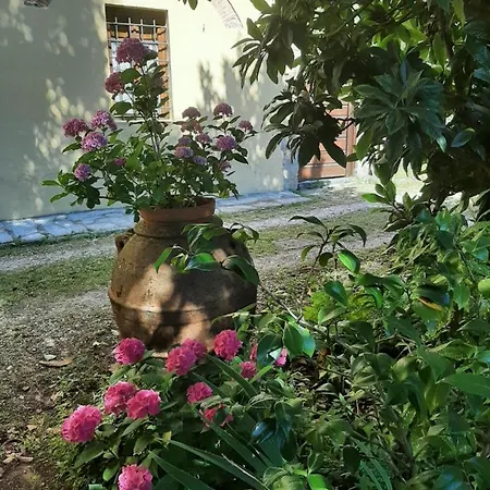 Bed and Breakfast Antica Fattoria La Verdina *