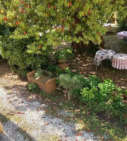 Antica Fattoria La Verdina B&B 카마이오레